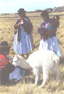 Peruvian Ladies